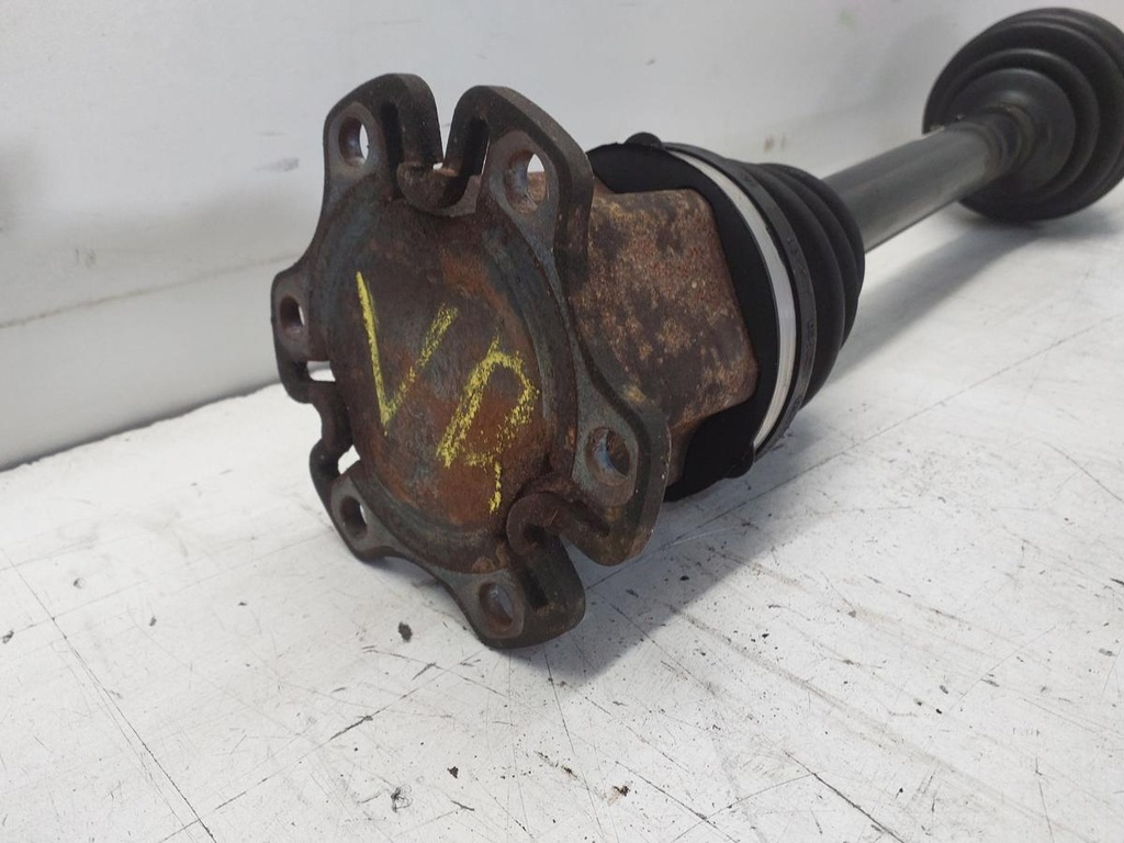 20251223_122917.jpg