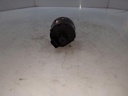 20251230_143634.jpg