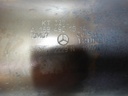A170 W169 014.JPG