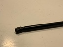 IMG_8142.jpeg