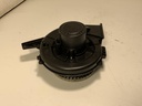 IMG_8236.jpeg