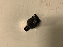 IMG_8621.jpeg