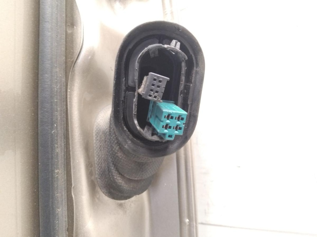 IMG_20260115_140652.jpg