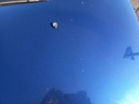 IMG_20260122_113428.jpg
