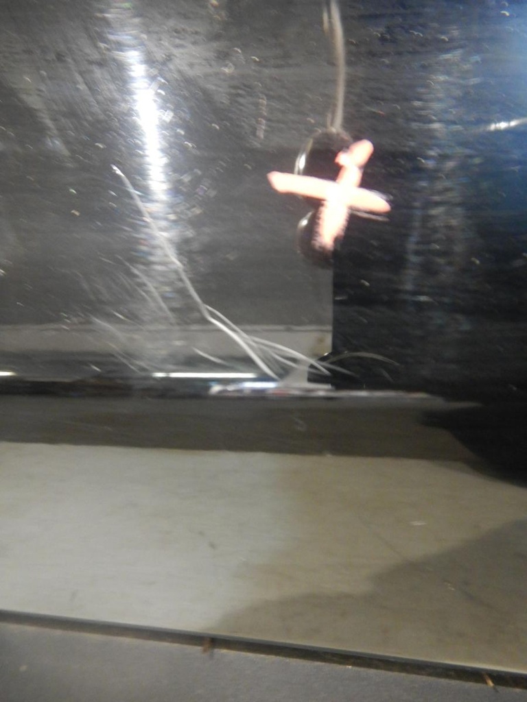 DSCN9233.JPG
