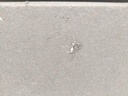 IMG_20260126_115952.jpg