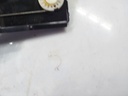 20260128_124550.jpg