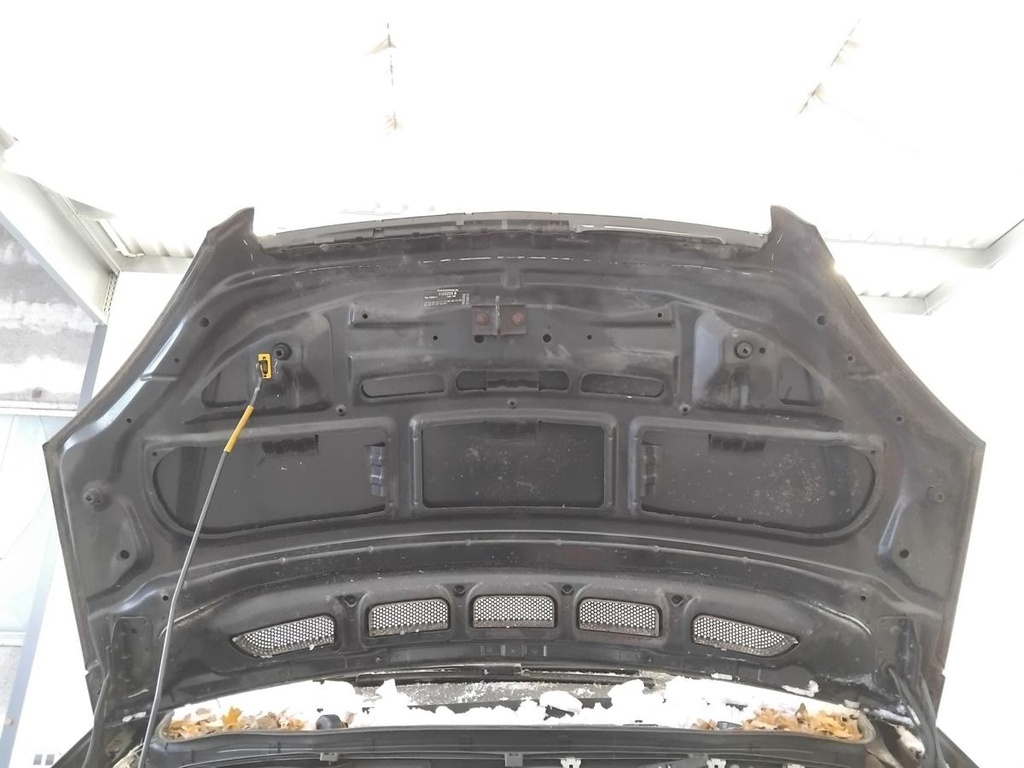 IMG_20260129_091457.jpg