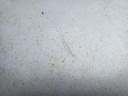 IMG_20260210_123548.jpg