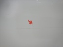 DSCN9707.JPG