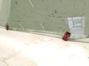 IMG_20260212_142041.jpg