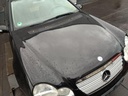 IMG_20260213_103039.jpg