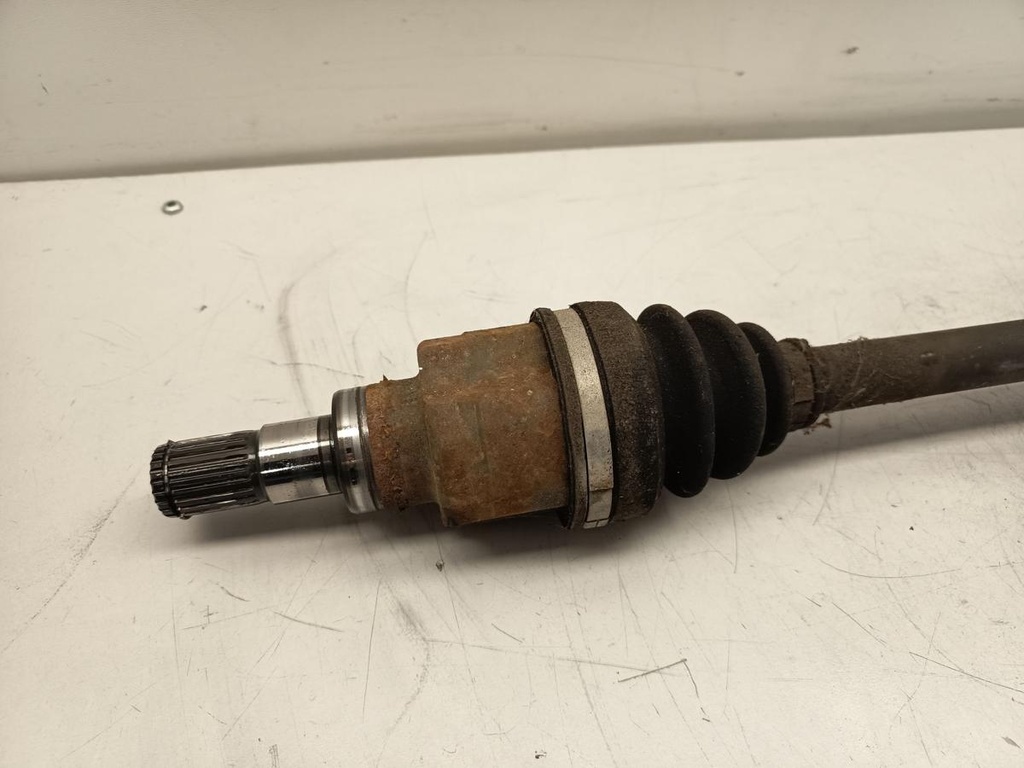 IMG_20260216_103721.jpg