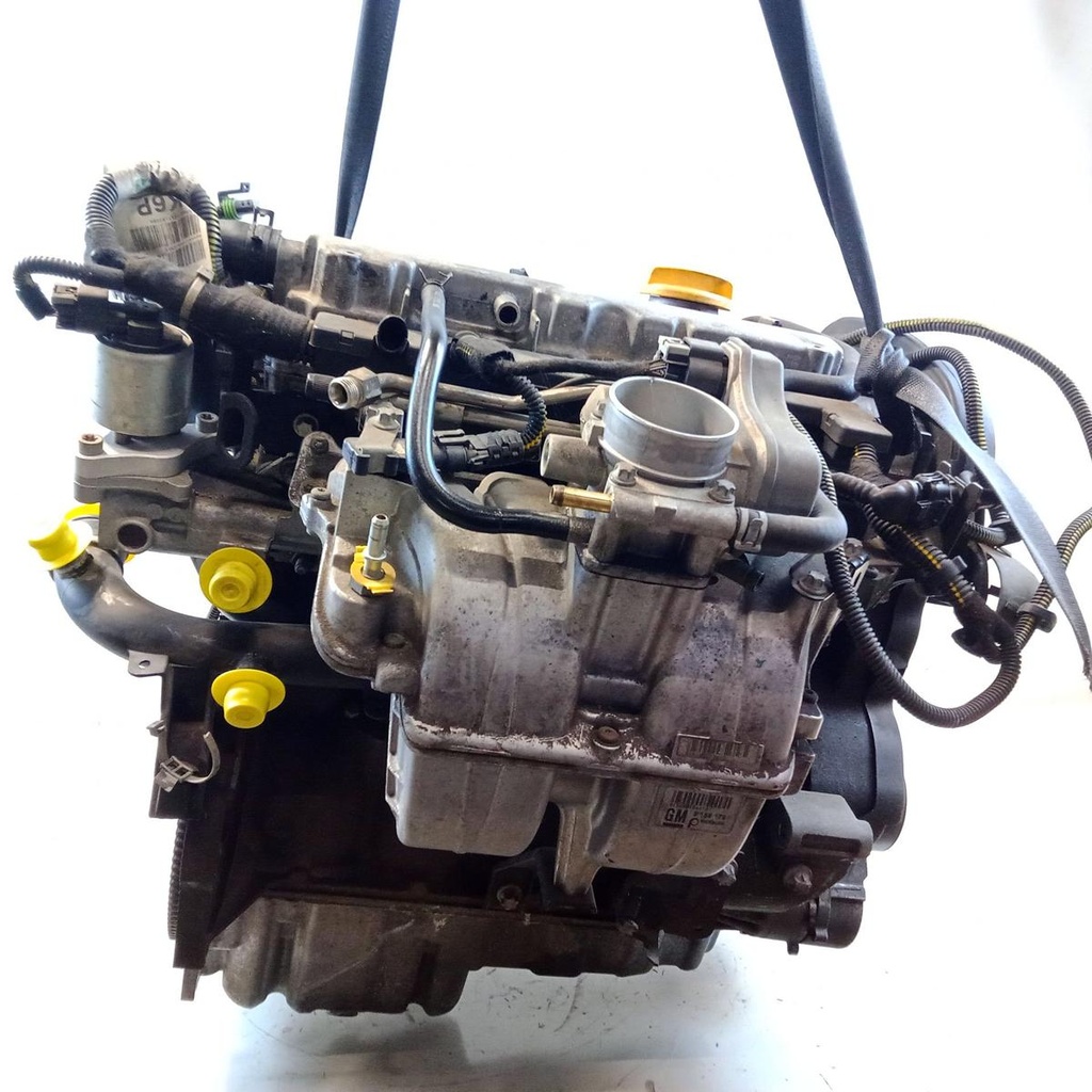 IMG_20260216_135850_8.jpg
