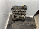 IMG_8683.jpeg