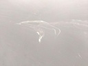 IMG_20260217_103833.jpg