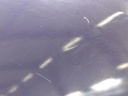 IMG_20260219_095429.jpg