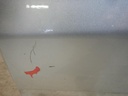 DSCN9881.JPG