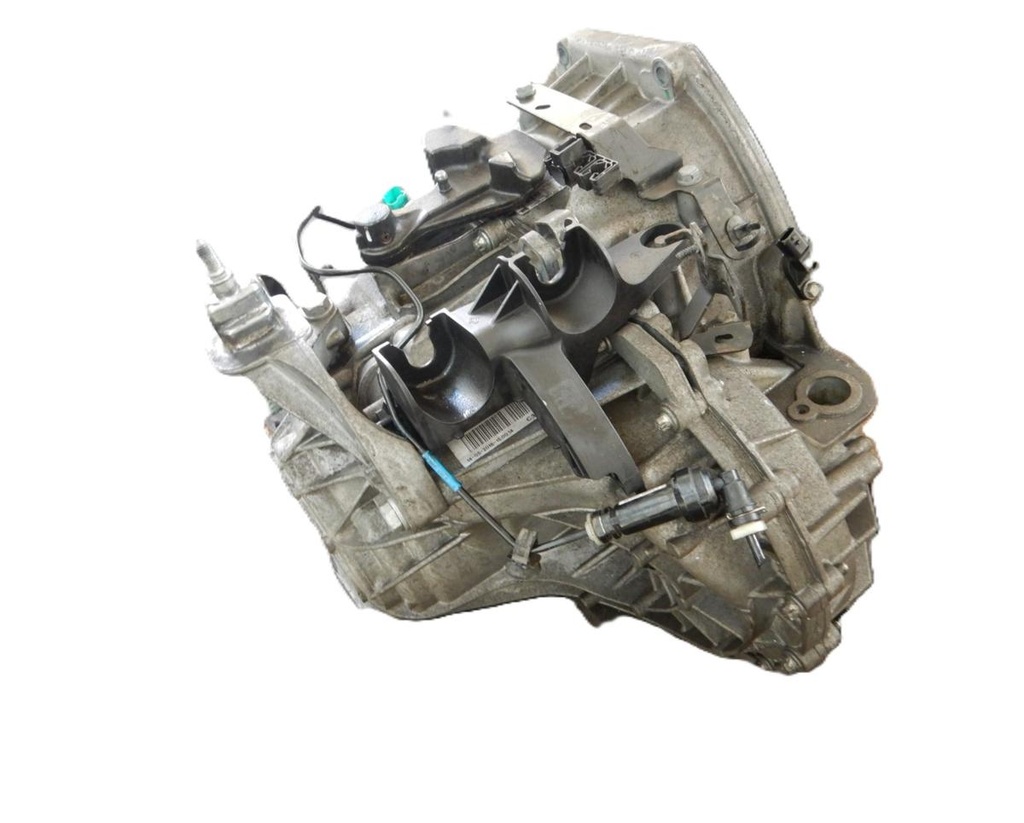 Vivaro 035.JPG