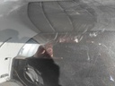 IMG_20260304_152010.jpg