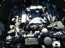 IMG_20260305_122011_846.jpg