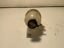 IMG_9253.jpeg
