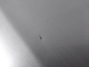 IMG_20260309_104942.jpg
