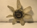 IMG_9550.jpeg