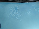 IMG_20260311_100605_414.jpg
