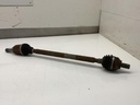 IMG_0266.jpeg