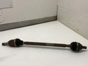 IMG_0261.jpeg