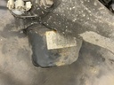 IMG_0206.jpeg