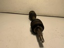 IMG_0285.jpeg