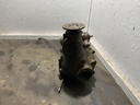 IMG_0369.jpeg