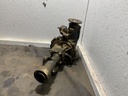 IMG_0365.jpeg