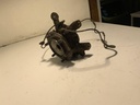 IMG_0377.jpeg