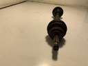 IMG_0529.jpeg