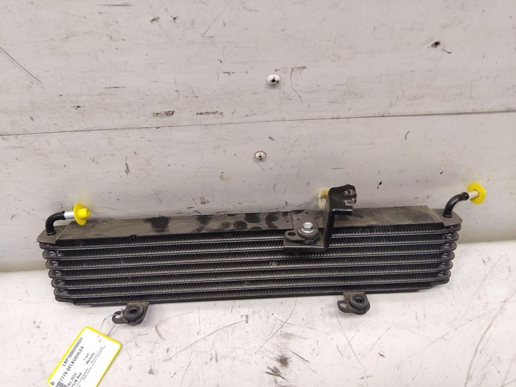 IMG_20260319_121952.jpg