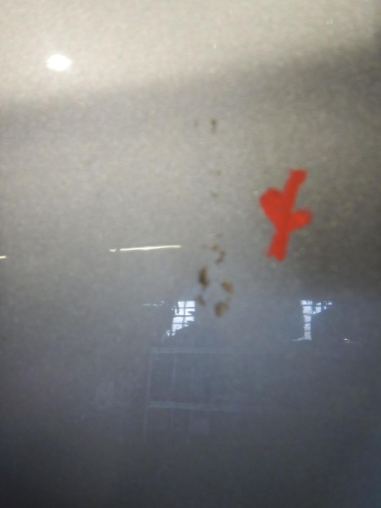 DSCN0641.JPG