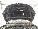 IMG_20260320_100136.jpg