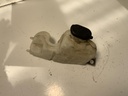 IMG_0714.jpeg