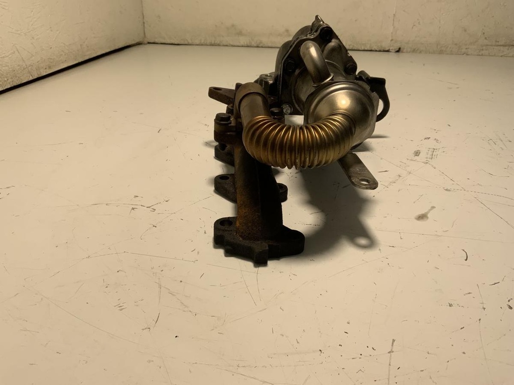 IMG_1103.jpeg