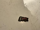 IMG_1316.jpeg