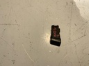 IMG_1317.jpeg