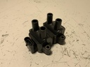 IMG_1918.jpeg