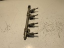 IMG_2331.jpeg
