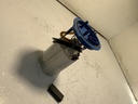 IMG_2887.jpeg