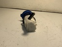 IMG_2889.jpeg