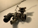 IMG_2725.jpeg