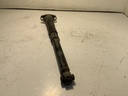 IMG_2899.jpeg